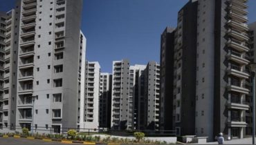 Sobha Chrysanthemum